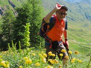 34 Bellissimo camminare tra i botton d'oro 